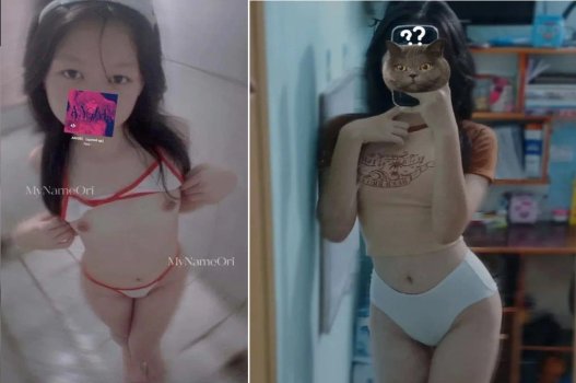 Ori quyến rũ bím lông lá vẫn rực rỡ